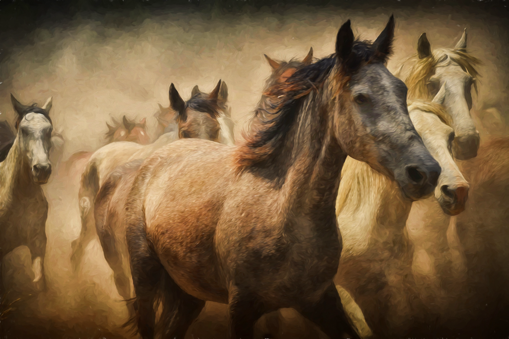 Wild Horses Stampede
