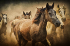 Wild Horses Stampede
